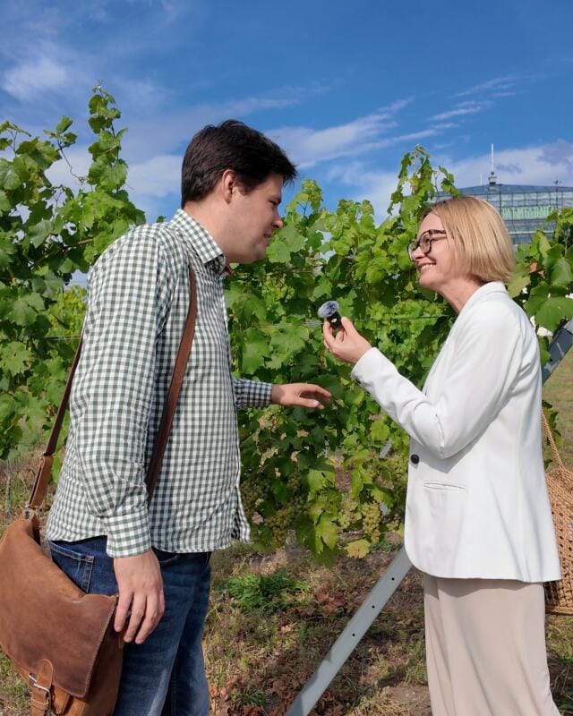 Zielona Góra Winne Wzgorze