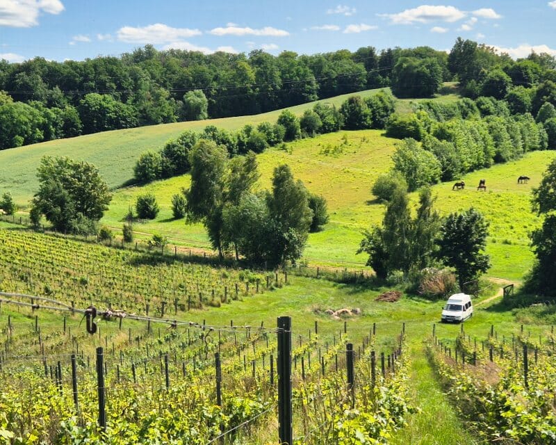 enoradio - Winnica Jakubów