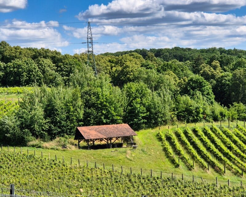 enoradio - Winnica Jakubów