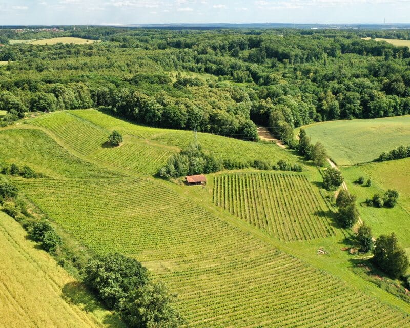 enoradio - Winnica Jakubów