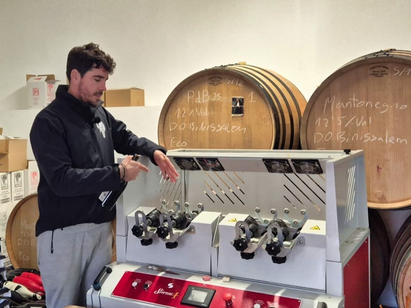 winnica Ca Sa Padrina Majorka