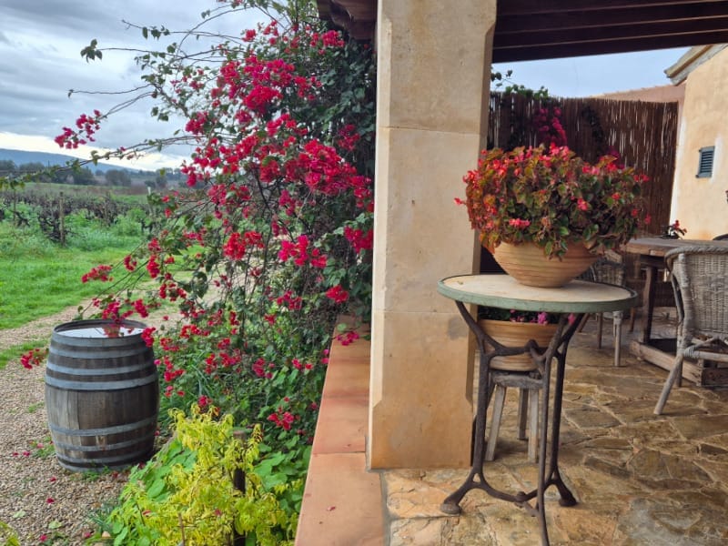 winnica Ca Sa Padrina Majorka