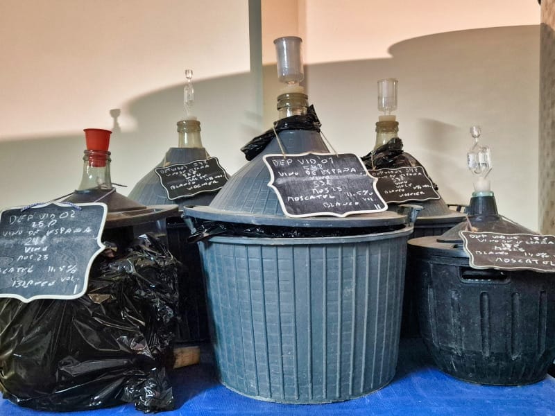 enoradio Selva Vins Majorka