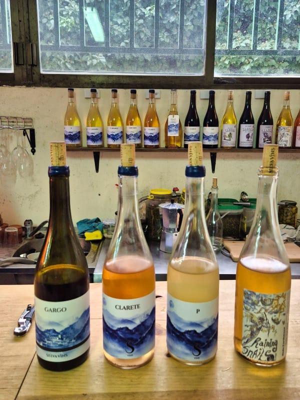 enoradio Selva Vins Majorka