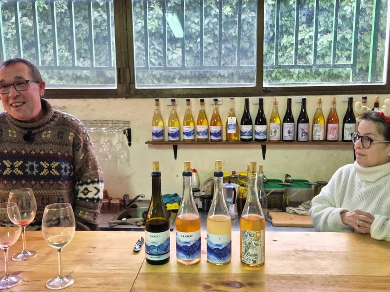 enoradio Selva Vins Majorka