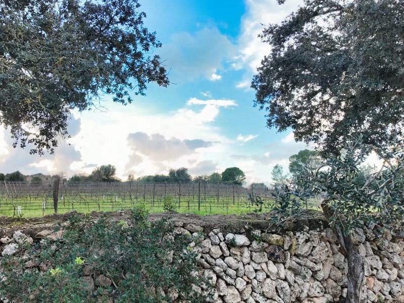 Screenshot 2026-03-13 165402